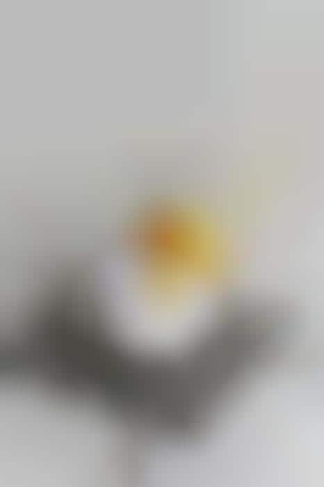 Adorable Eggshell Art