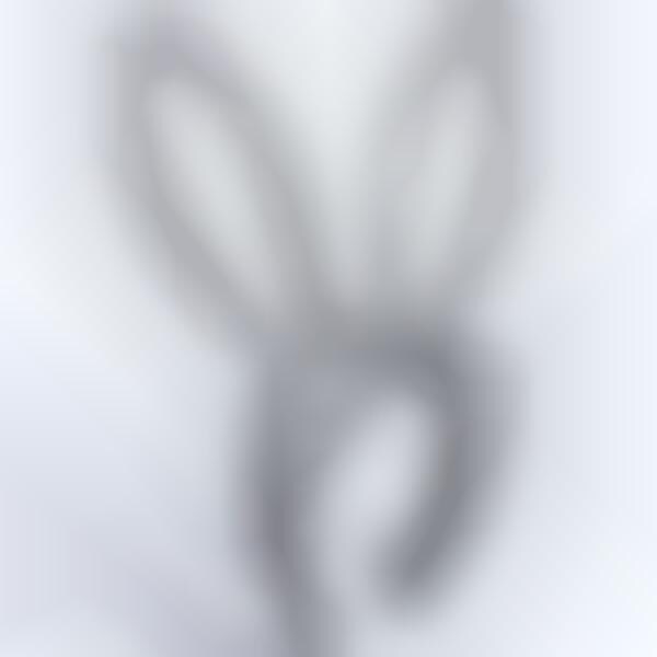 Bank-Breaking Bunny Ears