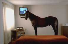Barnyard Bedroom Invasions