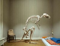 In-Home Museums Image 2