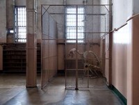 In-Home Museums Image 8