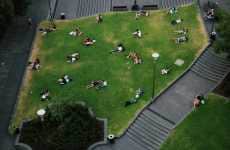 Bird's Eye Photography