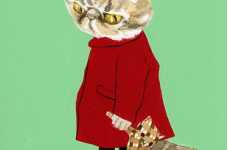 Humanized Kittens