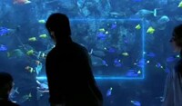 Underwater 3D Televisions Image 2