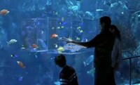 Underwater 3D Televisions Image 3