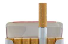 Biodegradable Cigarette Butts