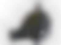 Obese Batman Icons Image 1