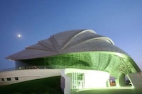 Silver Armadillo Buildings Image 4