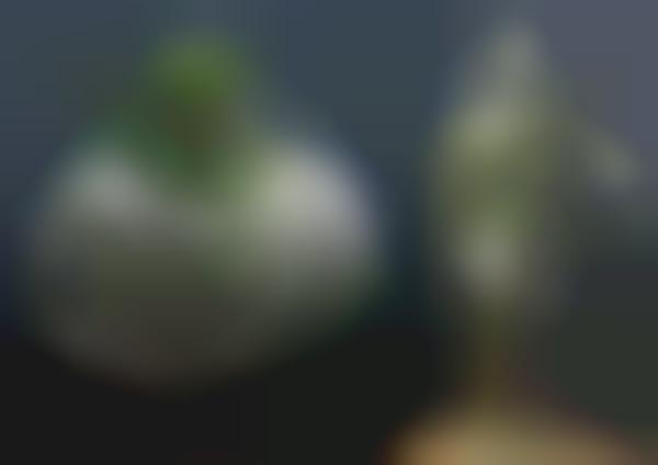 Growing Green Statues