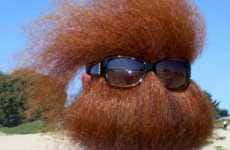 21 Weird Beards