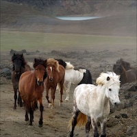 Icelandic Scenetography Image 3