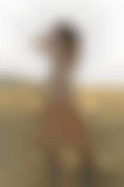 Damsels in Deserts