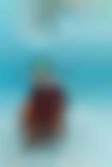 Submerged Couture Fashiontography