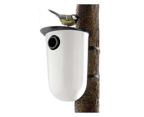 15 Ballin' Bird Houses