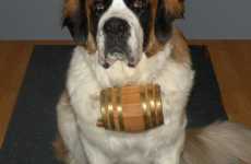 Canine Collar Flasks
