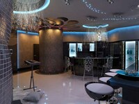 Fiber Optic Room Dividers Image 3