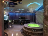 Fiber Optic Room Dividers Image 7