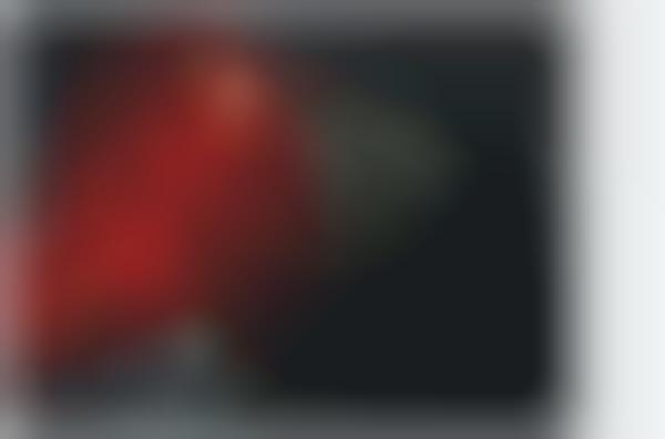 Red Veils for Men