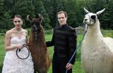 Llama Themed Weddings