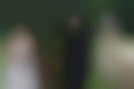 Llama Themed Weddings