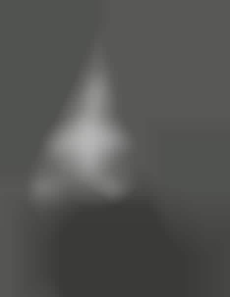Twisted Cone Bratography