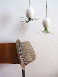 Flying Octopus Plants Image 3