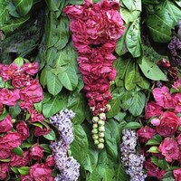 Delicious Wearable Gardens Image 5