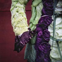 Delicious Wearable Gardens Image 7