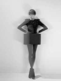 Stegosaurus Fashiontography Image 5
