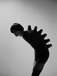 Stegosaurus Fashiontography Image 6