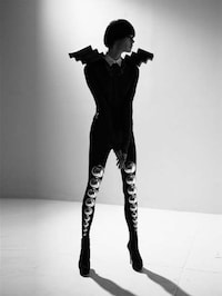 Stegosaurus Fashiontography Image 7