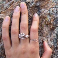 Hilarious Celeb Bling Image 5