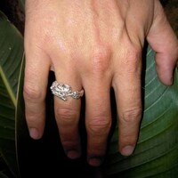 Hilarious Celeb Bling Image 6