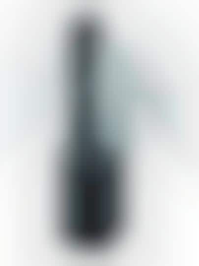 Humanoid Clothing Steamers