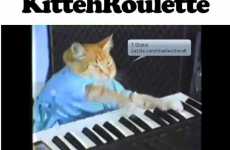 Cat-Themed Chat Sites