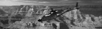 360-Degree Transport Vehicles Image 8