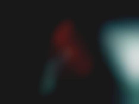 Horror Flicktography