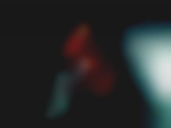 Horror Flicktography