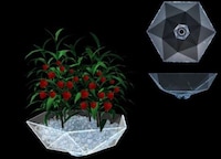 Gardens on Walls Image 4