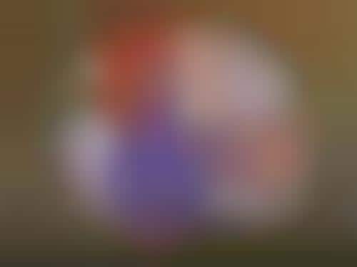 Capturing Temporary Art