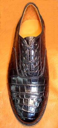 Hyper Color Croc Skin  Image 4