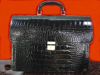 Hyper Color Croc Skin  Image 7