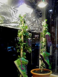 Earth Day Kick Displays Image 8