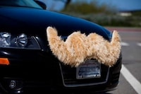 Mustached Mobiles Image 2