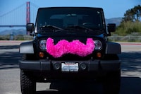 Mustached Mobiles Image 3