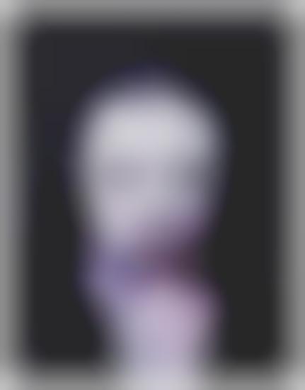 Imaginary Family Portraits