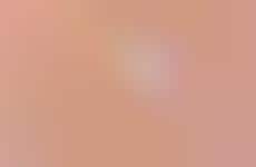Nude Animal Activist Apps