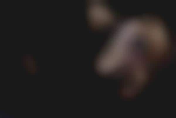 Geometric Nudetography