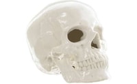 Porcelain Skulls Image 2