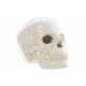 Porcelain Skulls Image 2